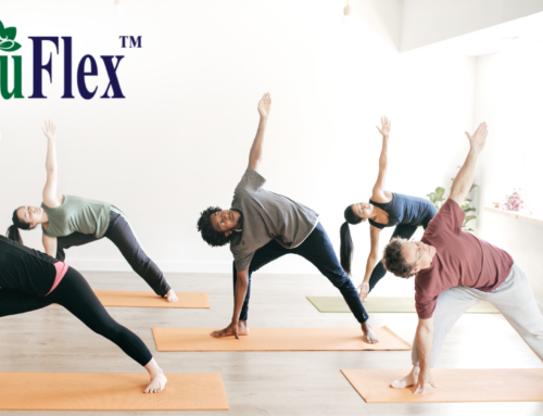 A Journey to Healthy Joints with Ayuflex