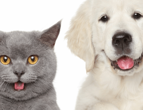 BiovaPlex® – Talking Pet Health to the Next Level
