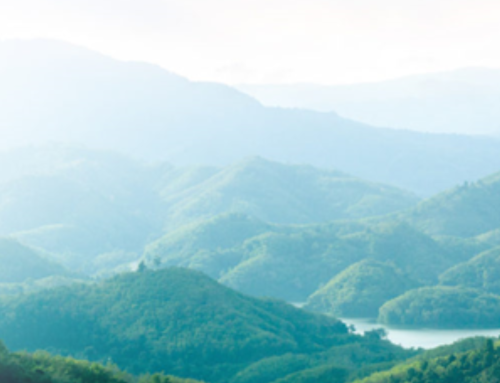 The Science of Stress: Why Chronic Stress Matters and How Your Formulations Can Help